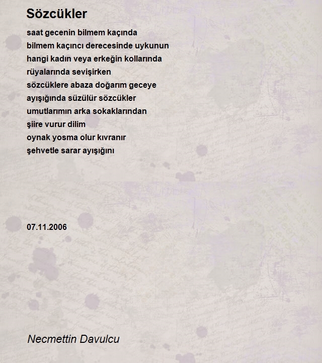 Necmettin Davulcu