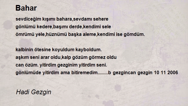 Hadi Gezgin