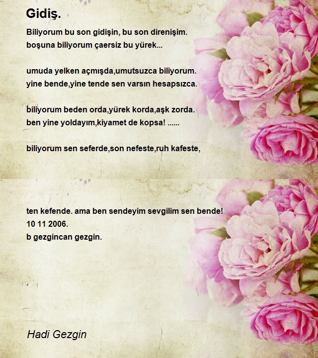 Hadi Gezgin