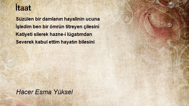 Hacer Esma Yüksel