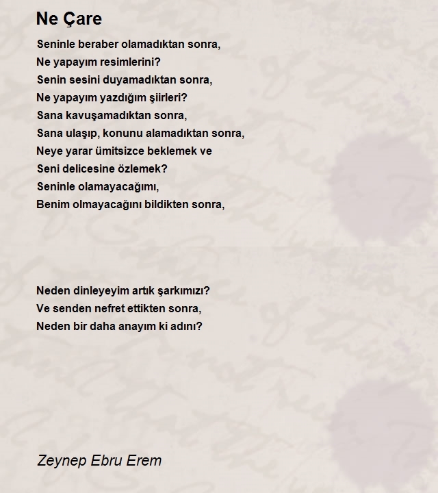 Zeynep Ebru Erem