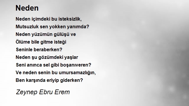 Zeynep Ebru Erem