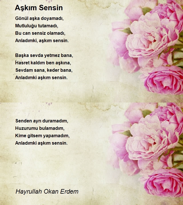 Hayrullah Okan Erdem