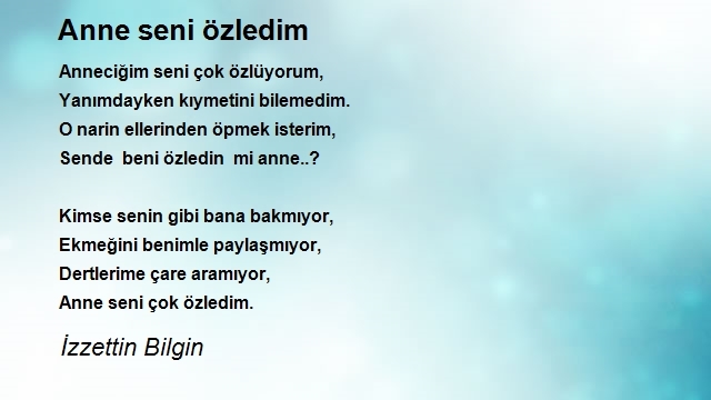 İzzettin Bilgin 