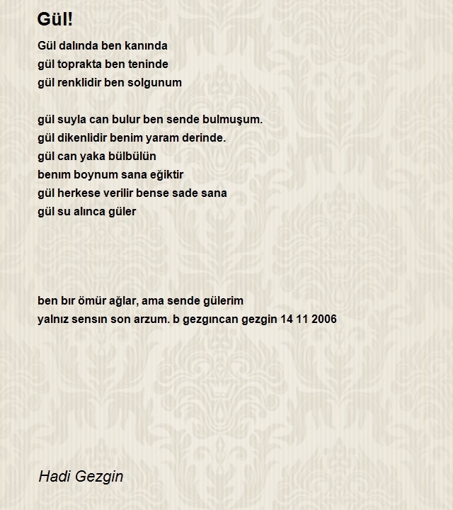 Hadi Gezgin