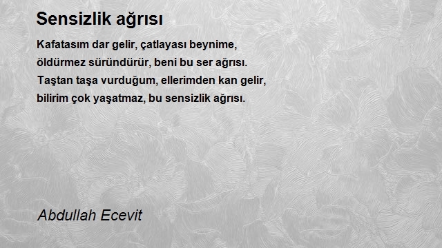 Abdullah Ecevit