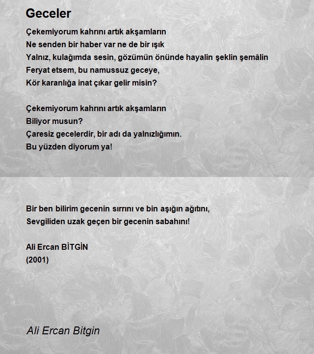 Ali Ercan Bitgin