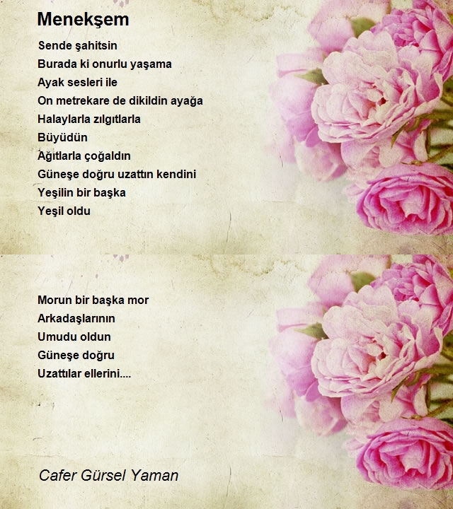 Cafer Gürsel Yaman