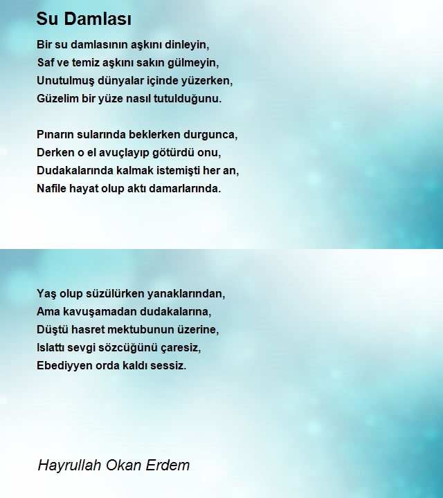 Hayrullah Okan Erdem