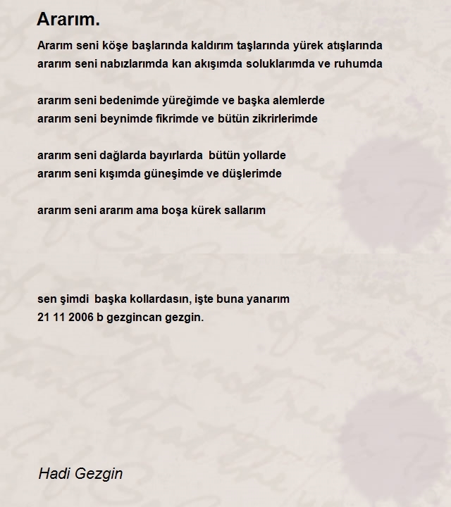 Hadi Gezgin