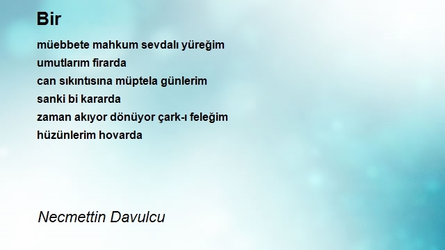 Necmettin Davulcu