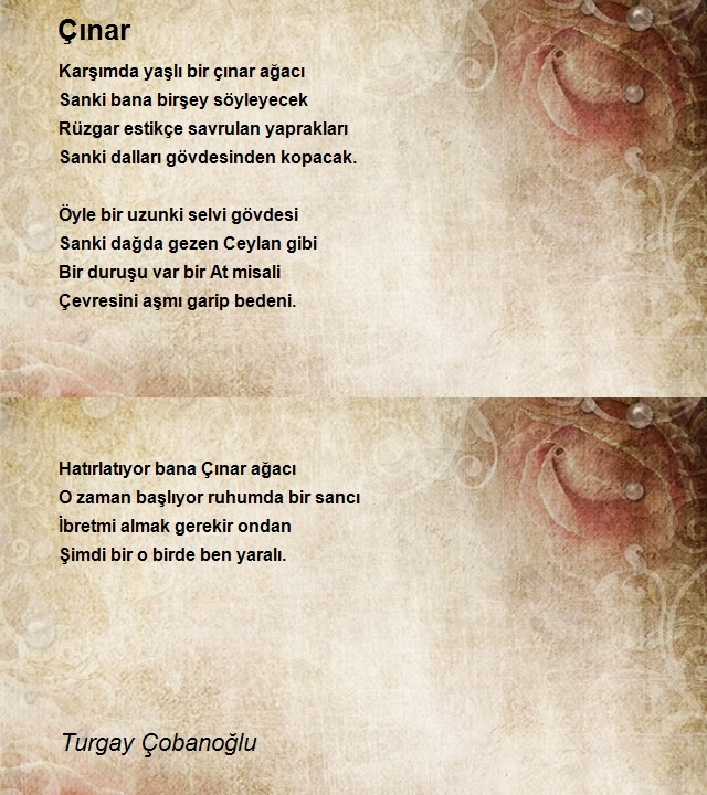 Turgay Çobanoğlu