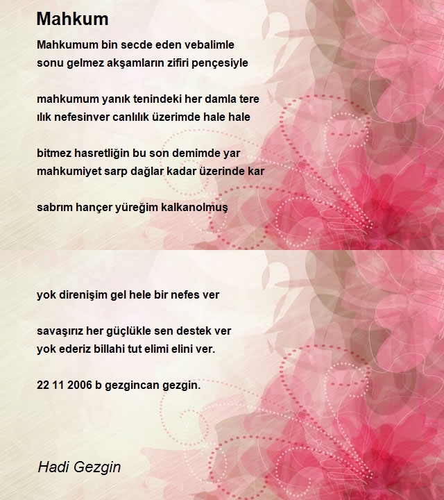 Hadi Gezgin