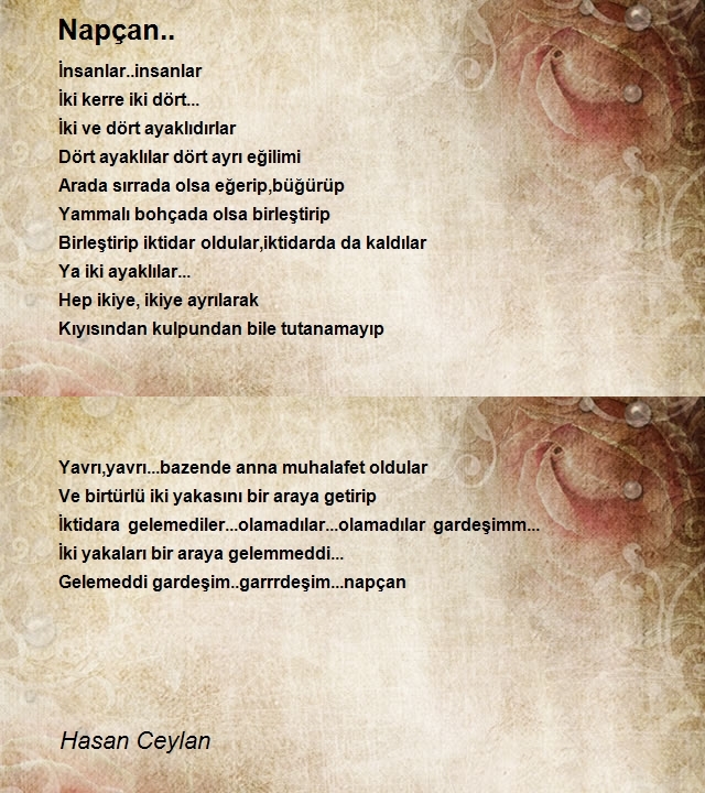 Hasan Ceylan