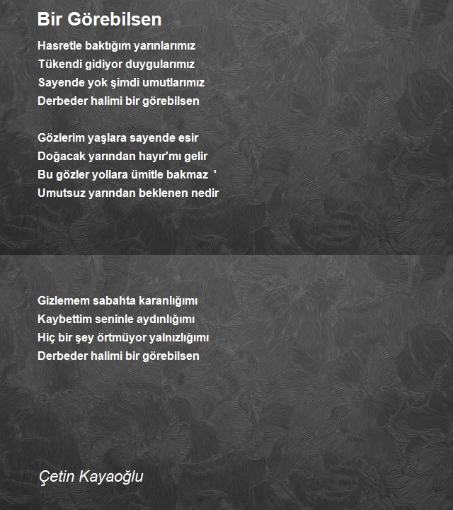 Çetin Kayaoğlu