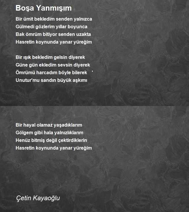 Çetin Kayaoğlu