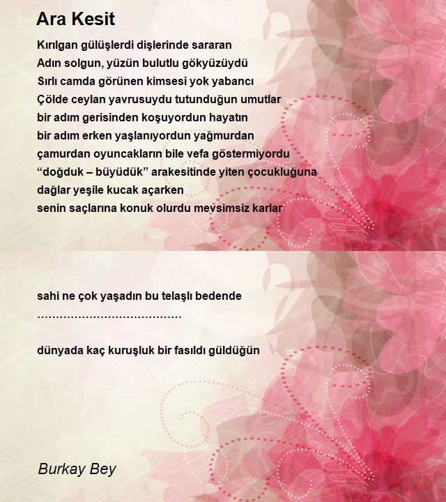 Burkay Bey