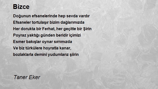 Taner Eker