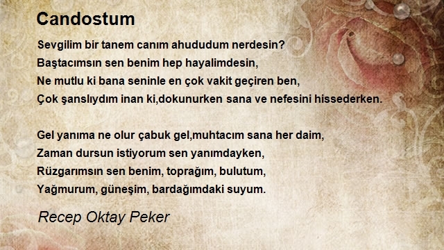 Recep Oktay Peker