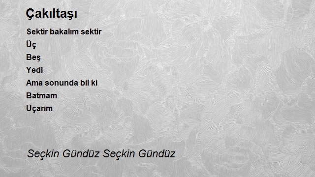 Seçkin Gündüz Seçkin Gündüz