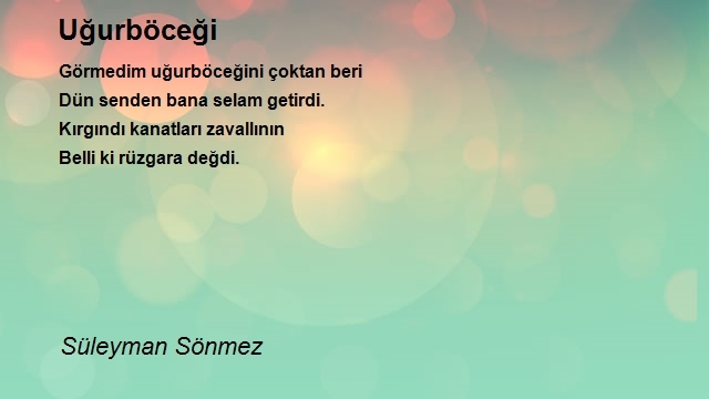 Süleyman Sönmez