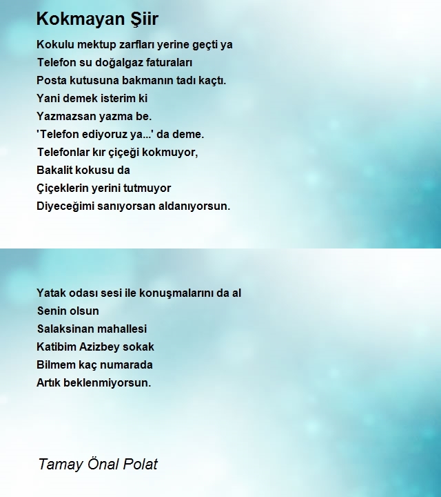 Tamay Önal Polat