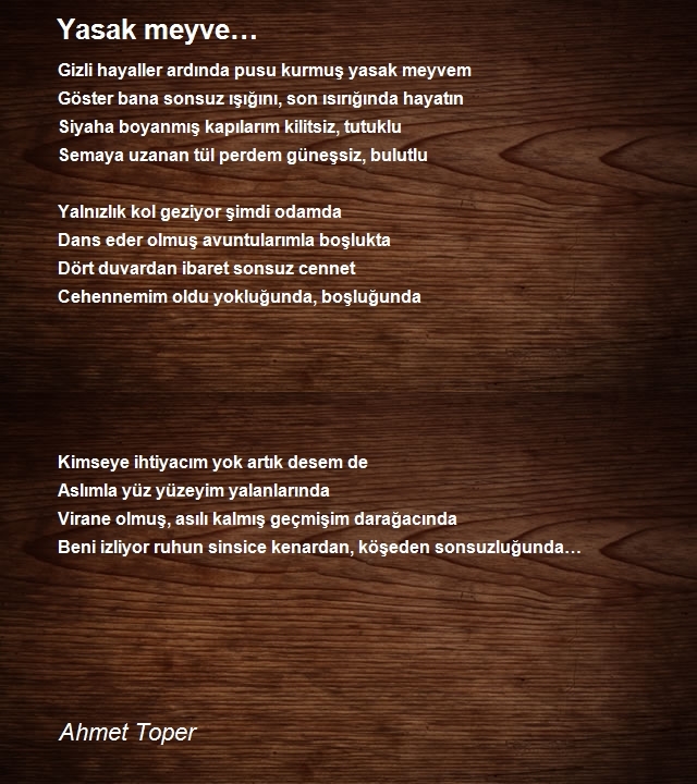 Ahmet Toper