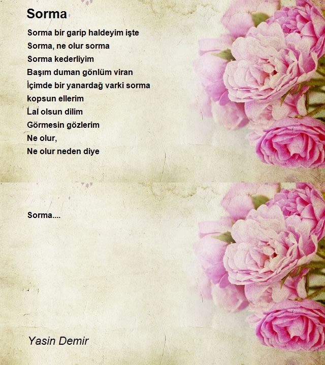 Yasin Demir