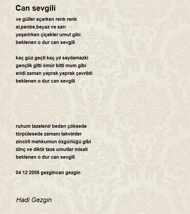 Hadi Gezgin