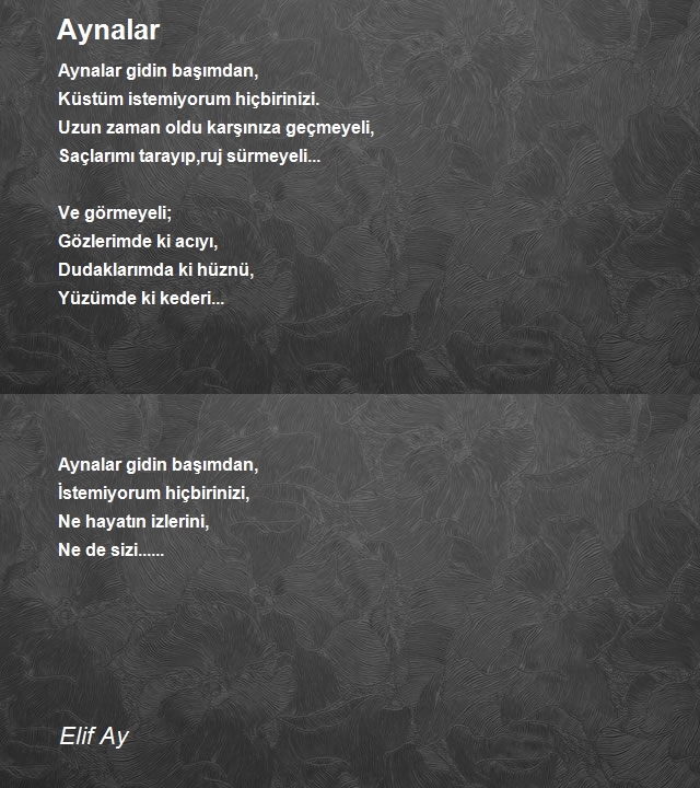 Elif Ay