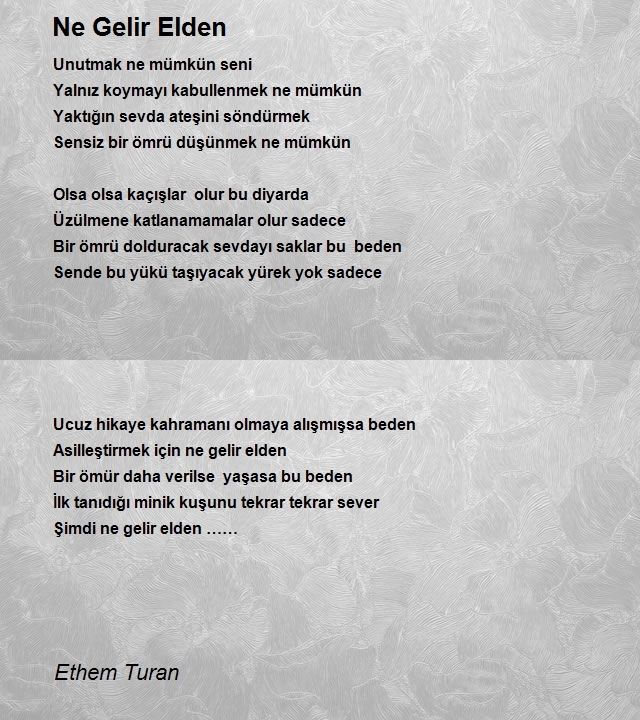 Ethem Turan