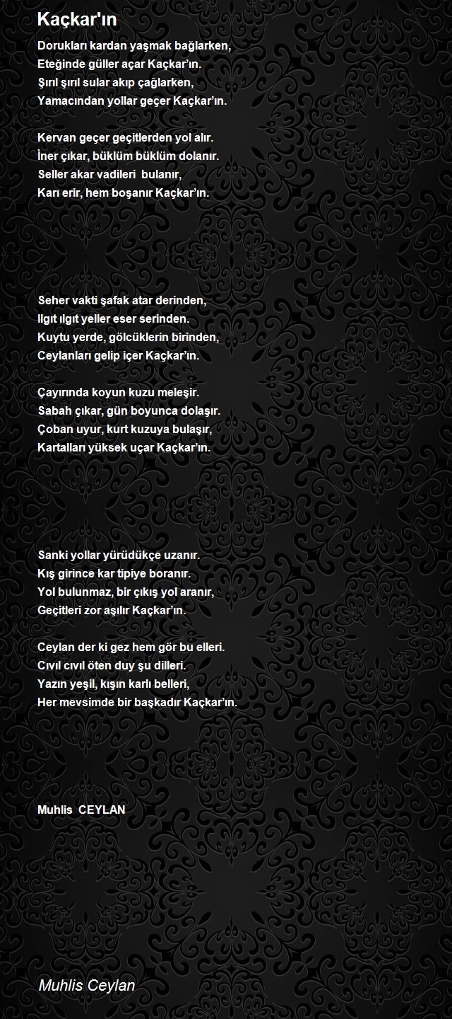 Muhlis Ceylan