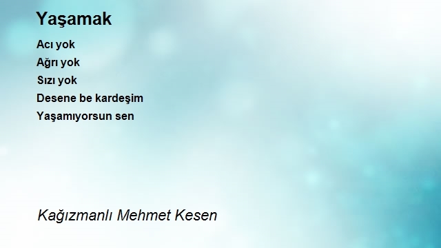 Kağızmanlı Mehmet Kesen