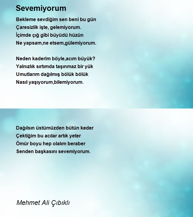 Mehmet Ali Çıbıklı