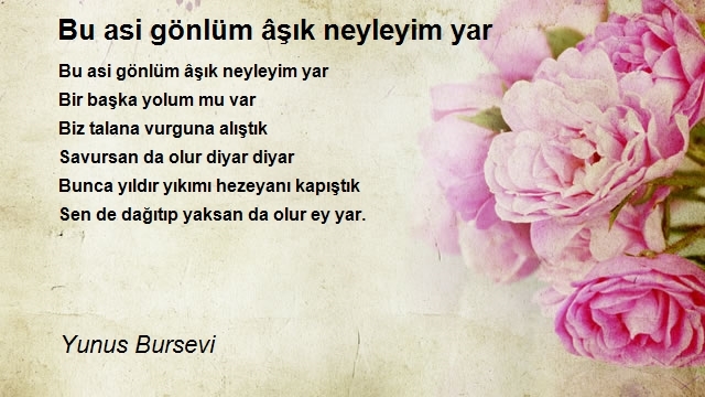 Yunus Bursevi