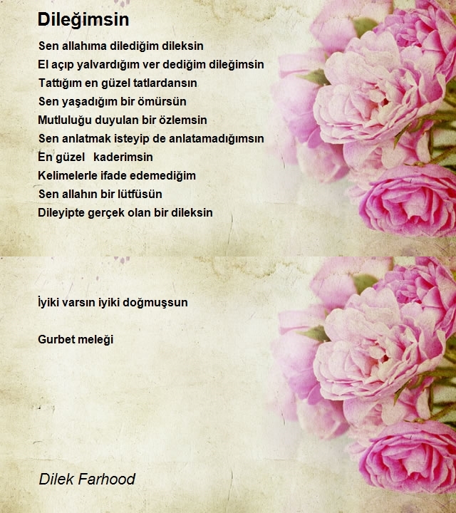 Dilek Farhood