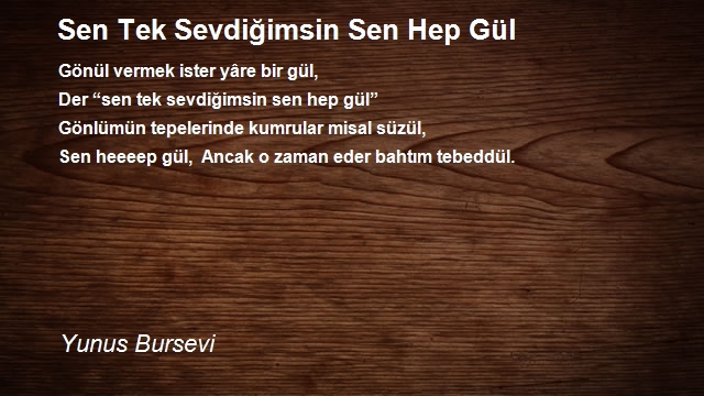 Yunus Bursevi