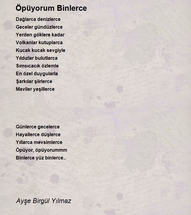 Ayşe Birgül Yılmaz