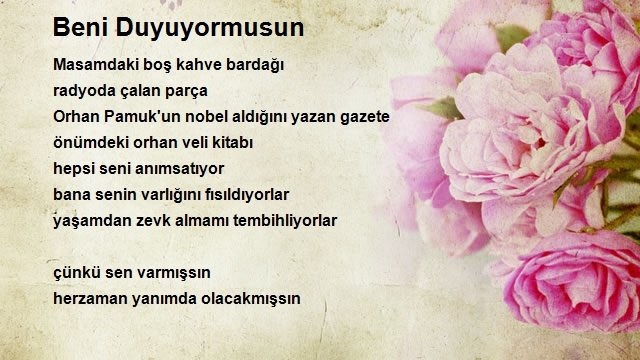 İbrahim Apaydın