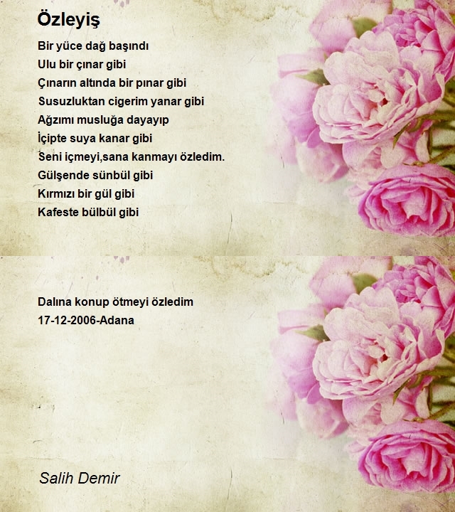 Salih Demir