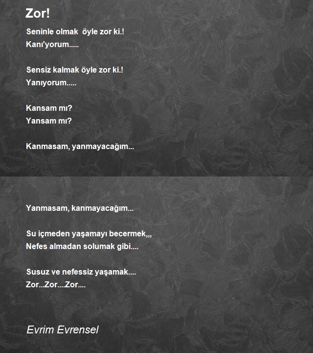 Evrim Evrensel