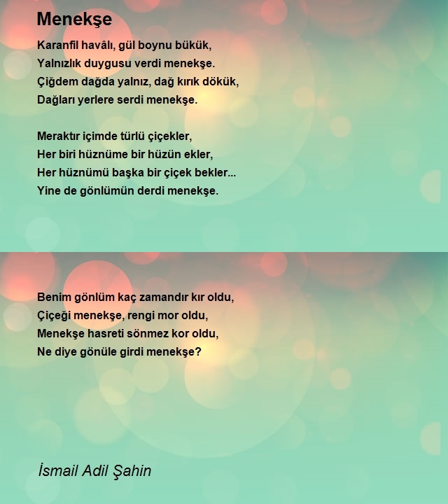 İsmail Adil Şahin