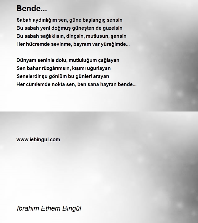 İbrahim Ethem Bingül