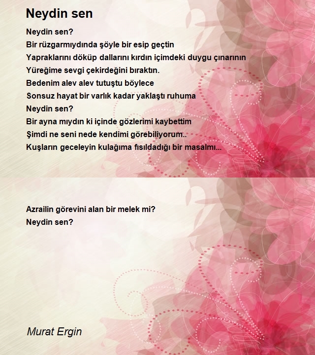 Murat Ergin