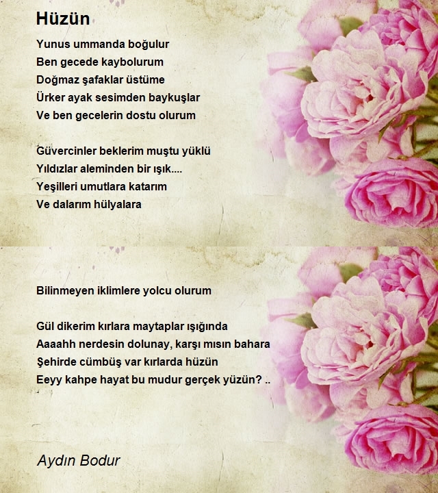 Aydın Bodur