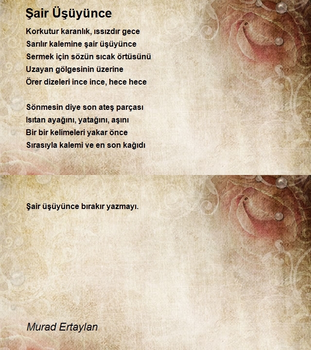 Murad Ertaylan