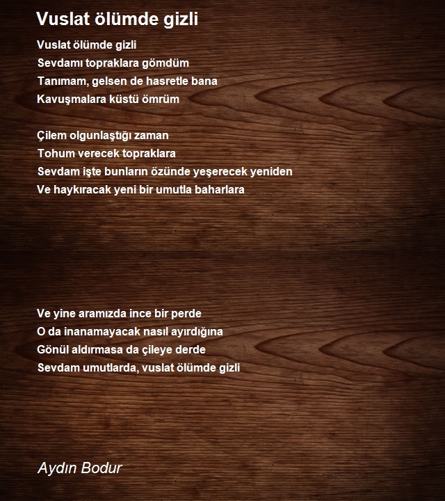 Aydın Bodur