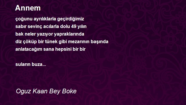 Oguz Kaan Bey Boke