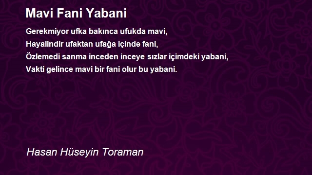 Hasan Hüseyin Toraman