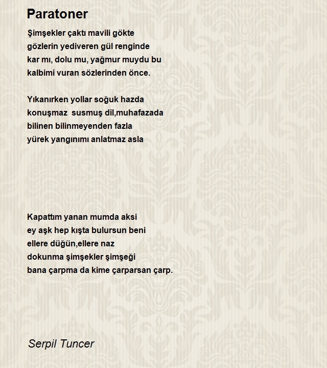 Serpil Tuncer